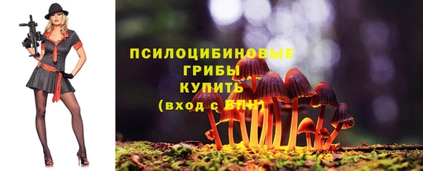 mix Вязьма