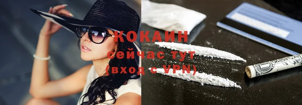 эйфоретик Вяземский