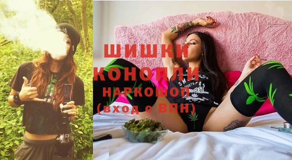 ПСИЛОЦИБИНОВЫЕ ГРИБЫ Новозыбков
