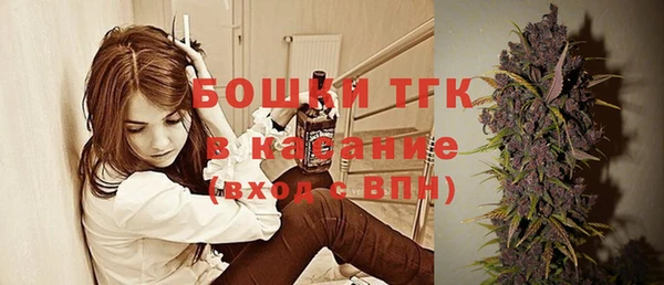 эйфоретик Вяземский