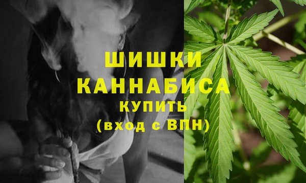 эйфоретик Вяземский