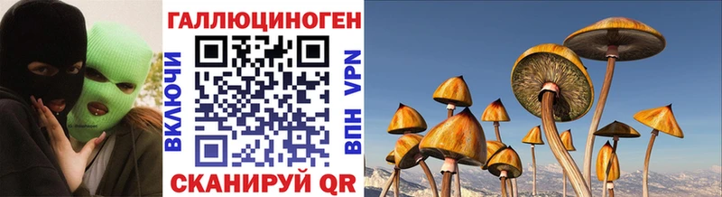 Псилоцибиновые грибы Psilocybe Галич